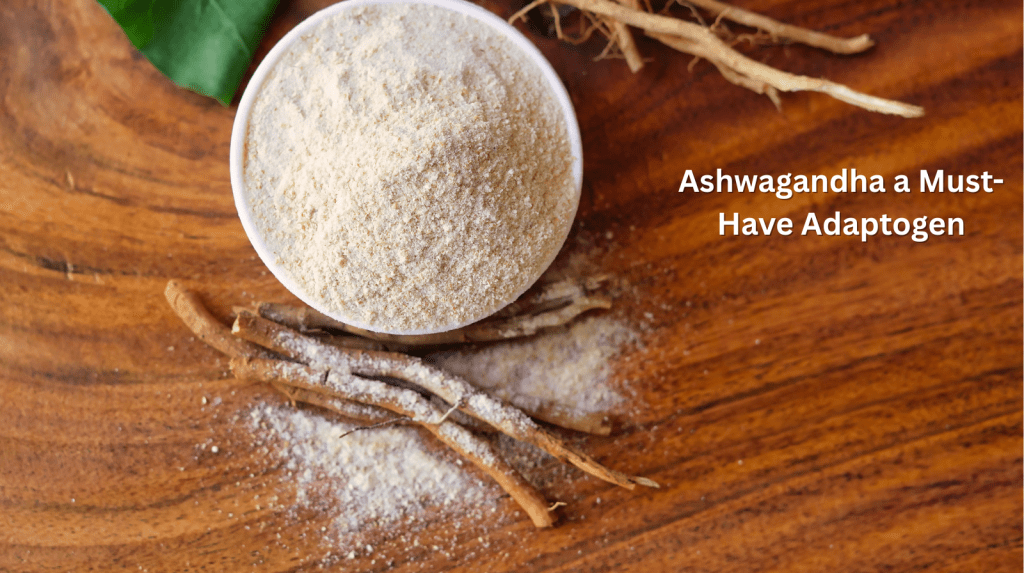 Why Ashwagandha Is a Must-Have Adaptogen for Modern&nbsp;Lifestyles
