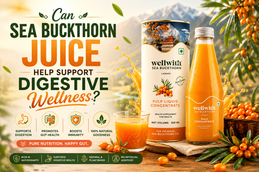 Can Sea Buckthorn Juice Help Support Digestive Wellness?